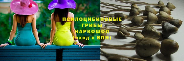 ПСИЛОЦИБИНОВЫЕ ГРИБЫ Лиски
